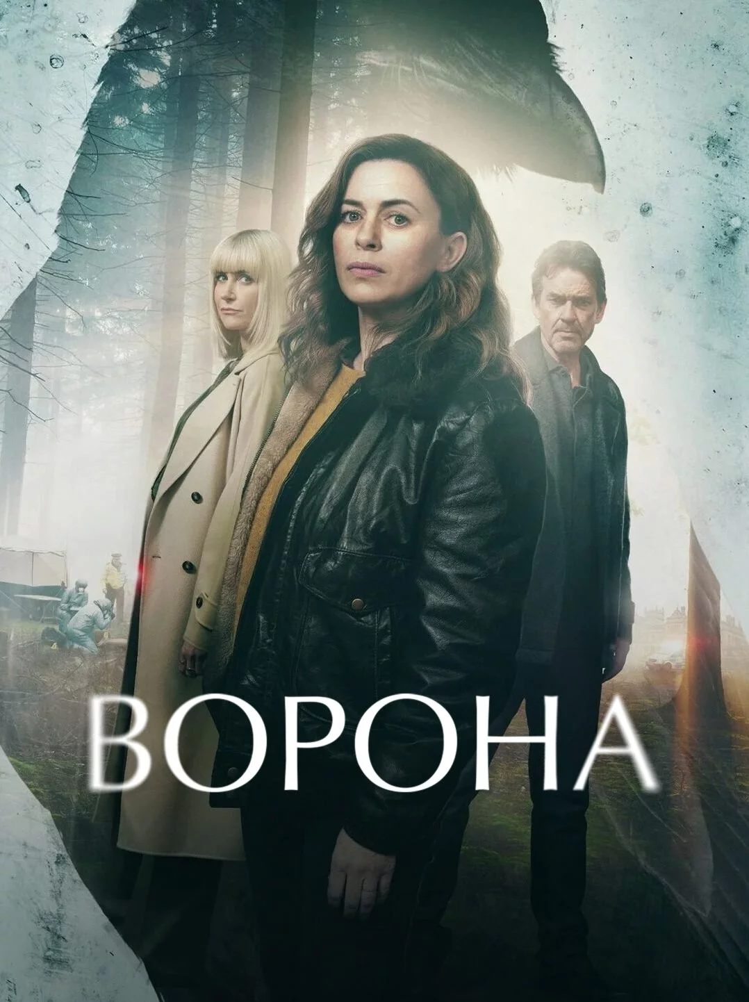 Ворона Постер